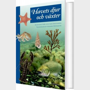 Havets Dyr Og Planter - Aase Kristiansen - Bog