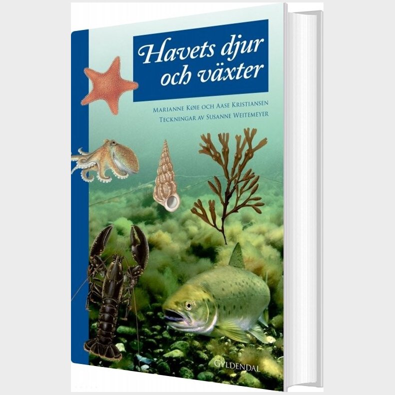 Havets Dyr Og Planter - Aase Kristiansen - Bog