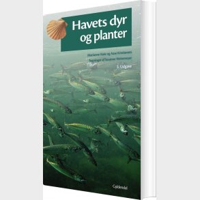 Havets Dyr Og Planter - Aase Kristiansen - Bog