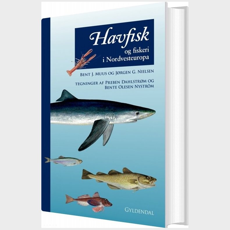 Havfisk Og Fiskeri - J�rgen G. Nielsen - Bog