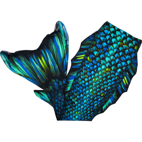 Fin Fun | Havfruehale - Hale + monofinne, SeaDragon