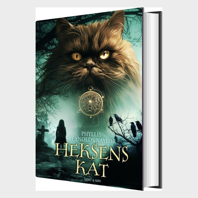Heksens Kat - Phyllis Reynolds Naylor - Bog