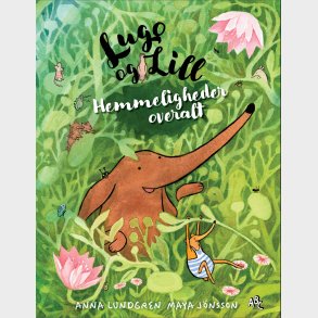 Hemmeligheder Overalt - Anna Lundgren - Bog