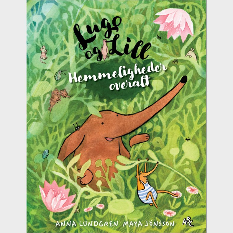 Hemmeligheder Overalt - Anna Lundgren - Bog