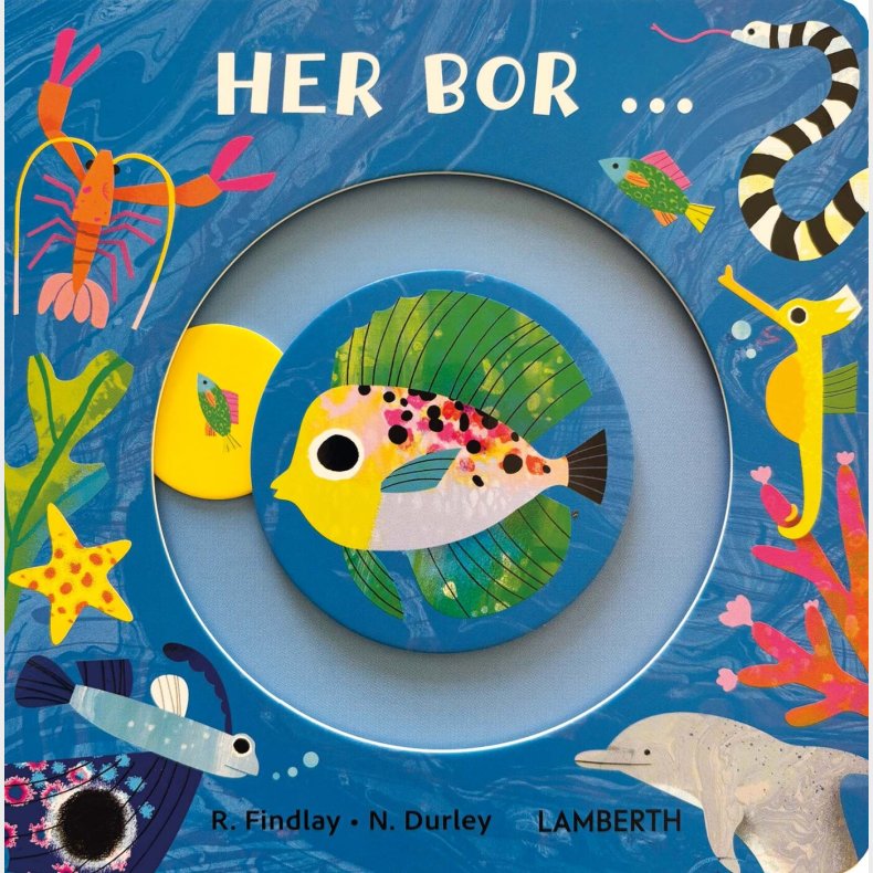 Her Bor - Rhiannon Findlay - Bog