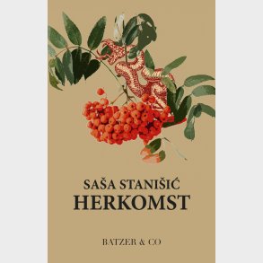 Herkomst - Sasa Stanisic - Bog