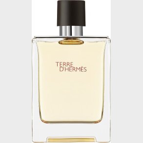 Herms - Terre D'herms Eau De Toilette Edt 100 Ml
