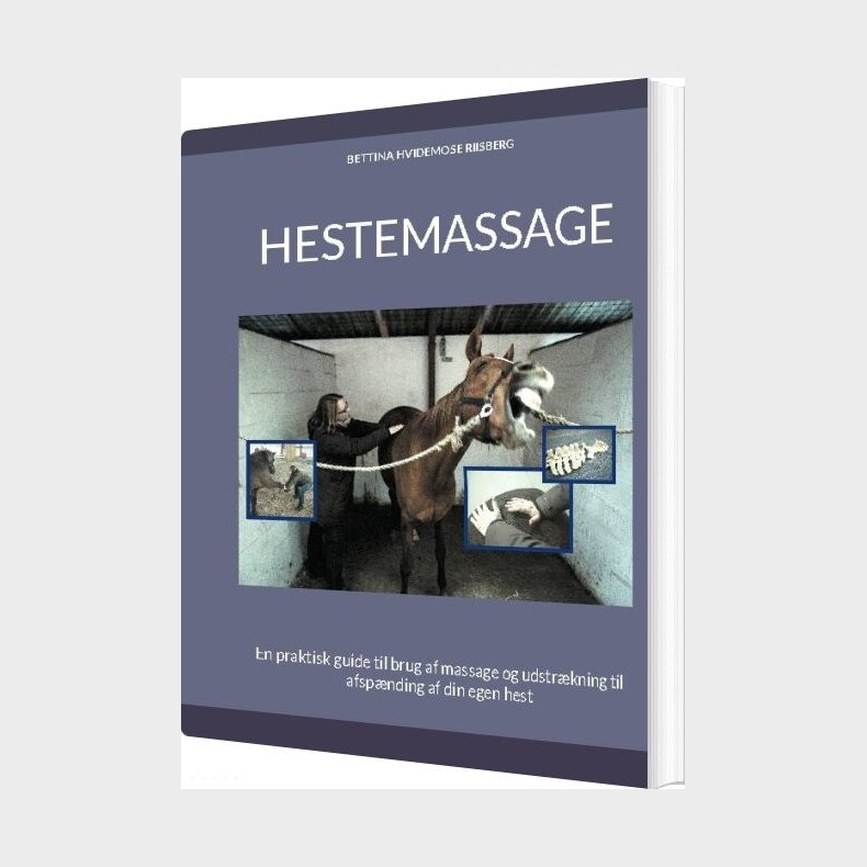 Hestemassage - Bettina Hvidemose - Bog
