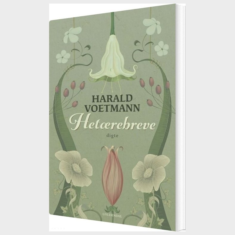 Het�rebreve - Harald Voetmann - Bog