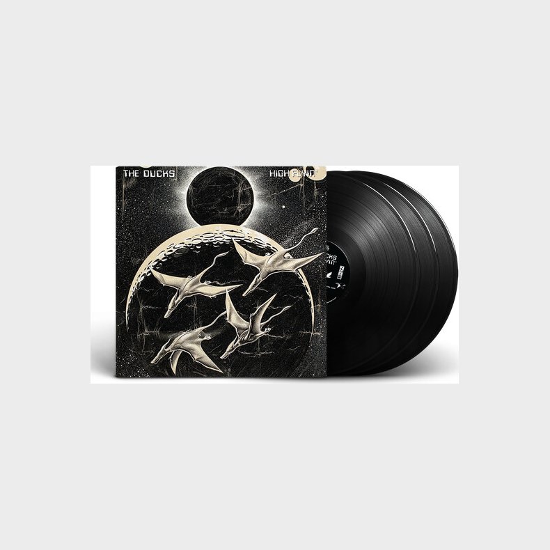 The Ducks - High Flyin' - Vinyl Lp