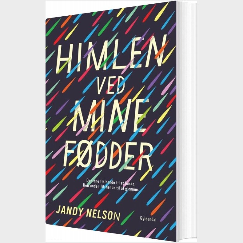 Himlen Ved Mine Fdder - Jandy Nelson - Bog