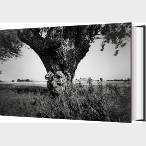 Hindsholm - Finn Thrane - Bog