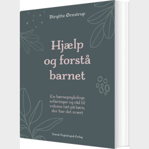 Hj�lp Og Forst� Barnet - Birgitte �rnstrup - Bog