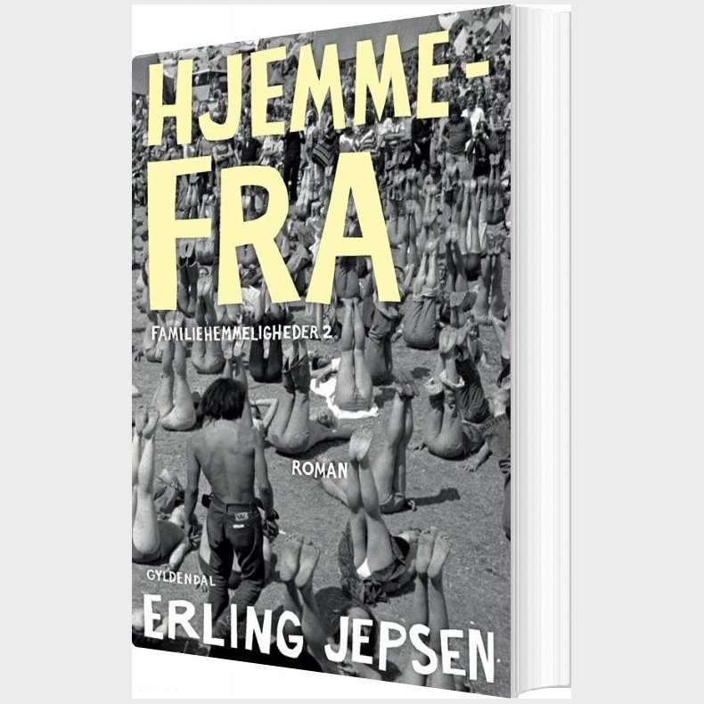 Hjemmefra - Familiehemmeligheder 2 - Erling Jepsen - Bog