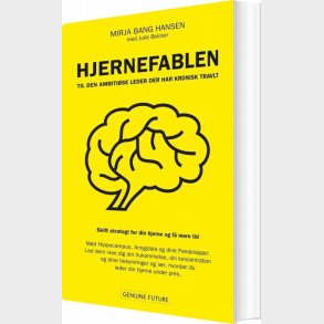 Hjernefablen - Mirja Bang Hansen - Bog
