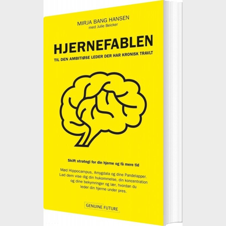 Hjernefablen - Mirja Bang Hansen - Bog