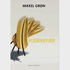 Hjernefjer - Mikkel Gr�n - Bog
