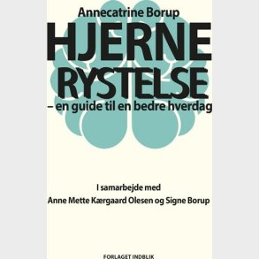 Hjernerystelse - Annecatrine Borup - Bog