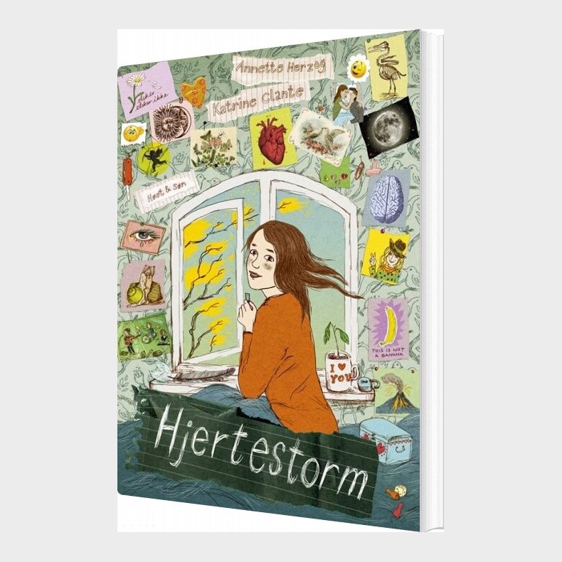 Hjertestorm - Annette Herzog - Bog