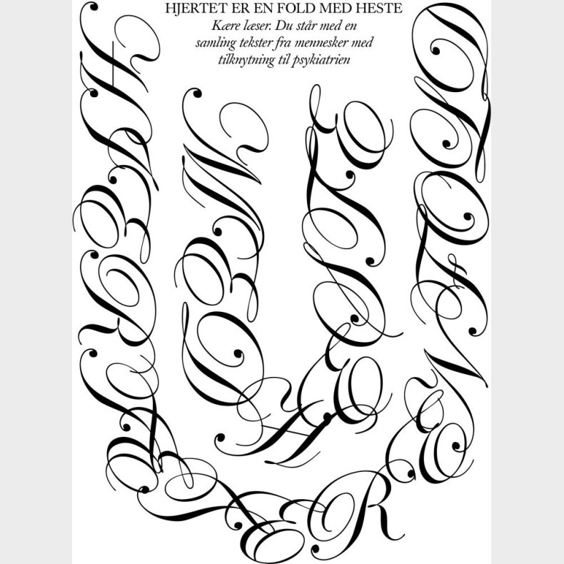 Hjertet Er En Fold Med Heste - Anna Rieder - Bog