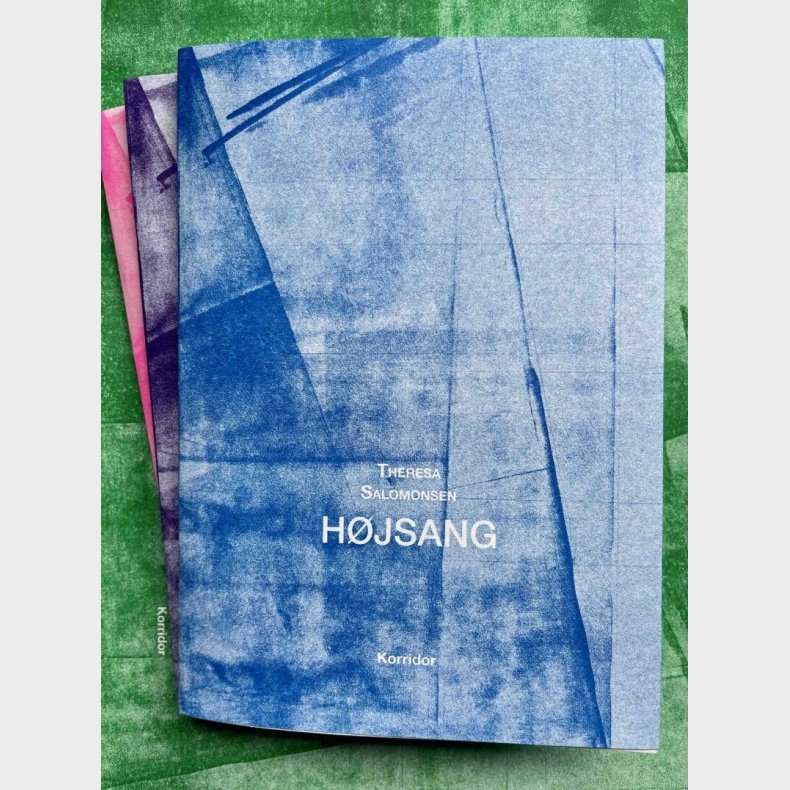 H�jsang - Theresa Salomonsen - Bog