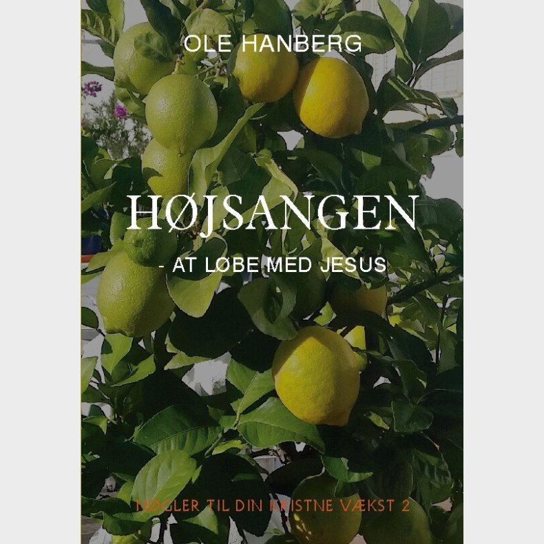 H�jsangen - Ole Hanberg - Bog