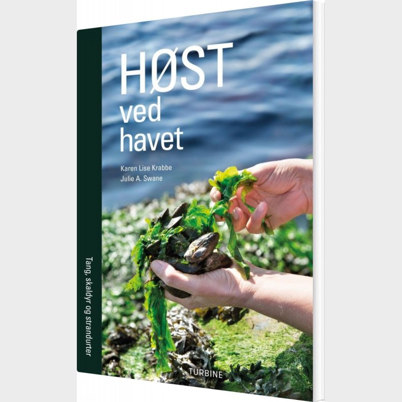 H�st Ved Havet - Karen Lise Krabbe - Bog