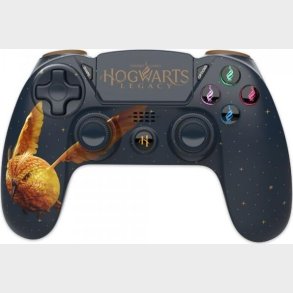 Harry Potter - Hogwarts Legacy - Trdls Ps4 Controller