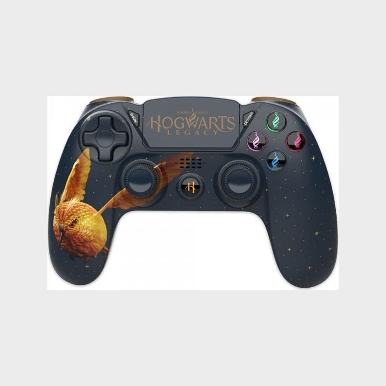 Harry Potter - Hogwarts Legacy - Trdls Ps4 Controller