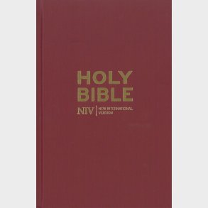 Holy Bible - New International Version - English book