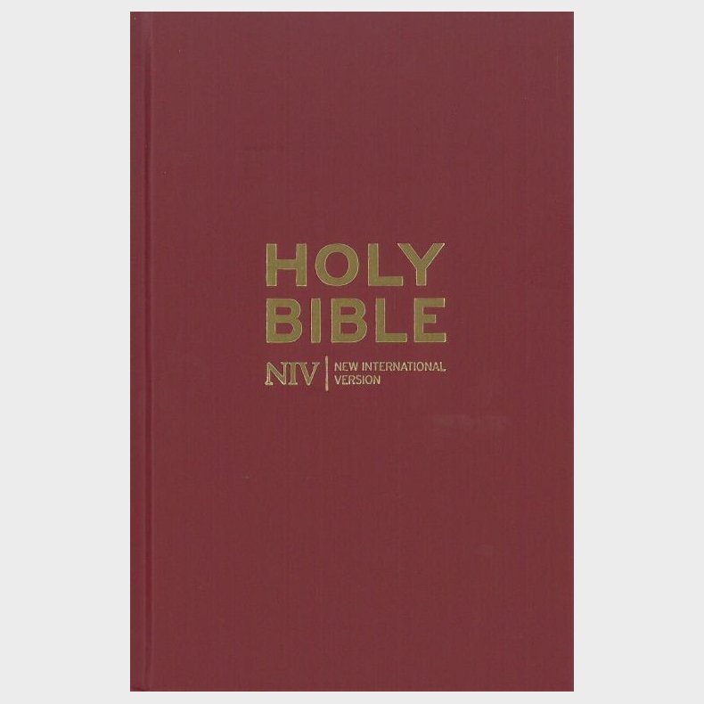 Holy Bible - New International Version - English book