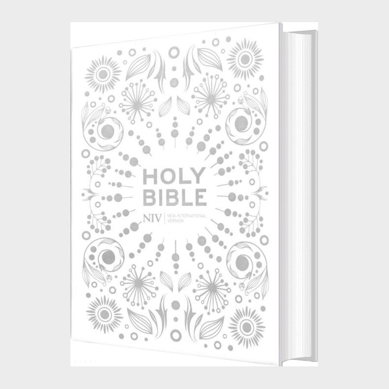 Holy Bible - New International Version - Hodder Bibles - English Book