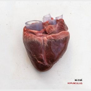Bisse - Homunculus - Vinyl Lp