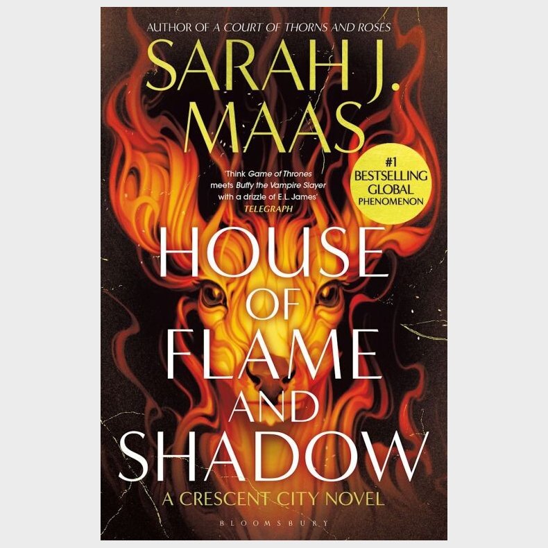 House Of Flame And Shadow - Sarah J. Maas - English Book