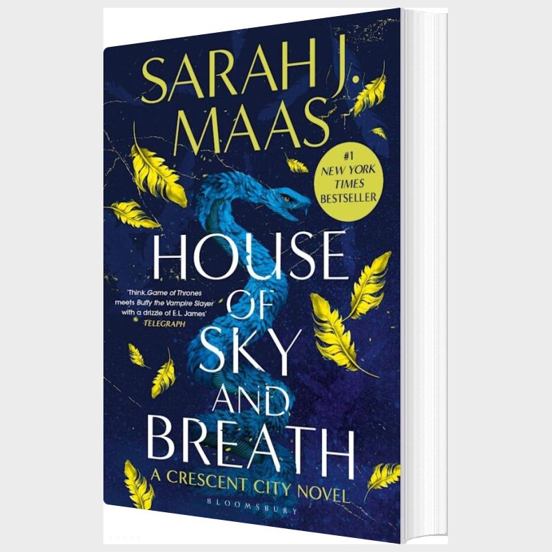 House Of Sky And Breath - Sarah J. Maas - English Book
