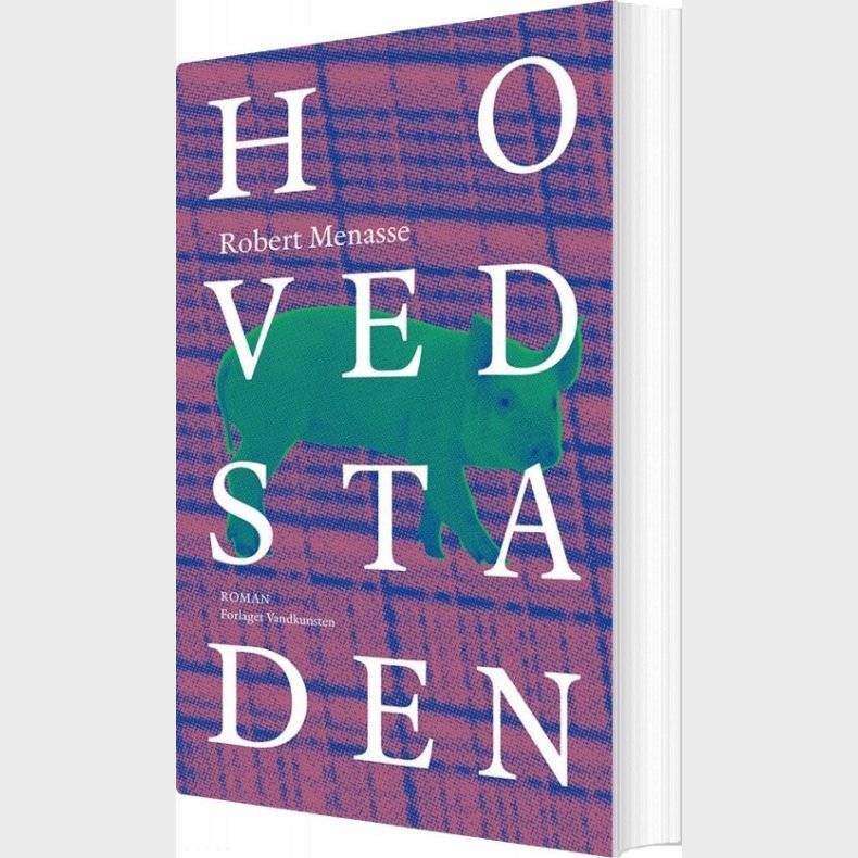 Hovedstaden - Robert Menasse - Bog