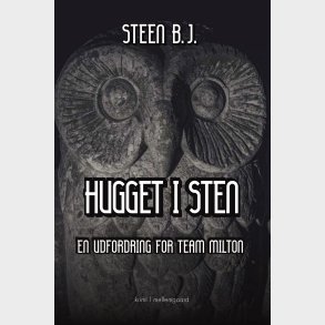 Hugget I Sten - Steen B.j - Bog