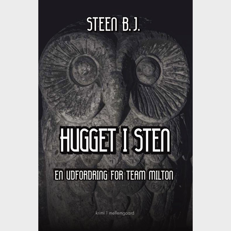 Hugget I Sten - Steen B.j - Bog