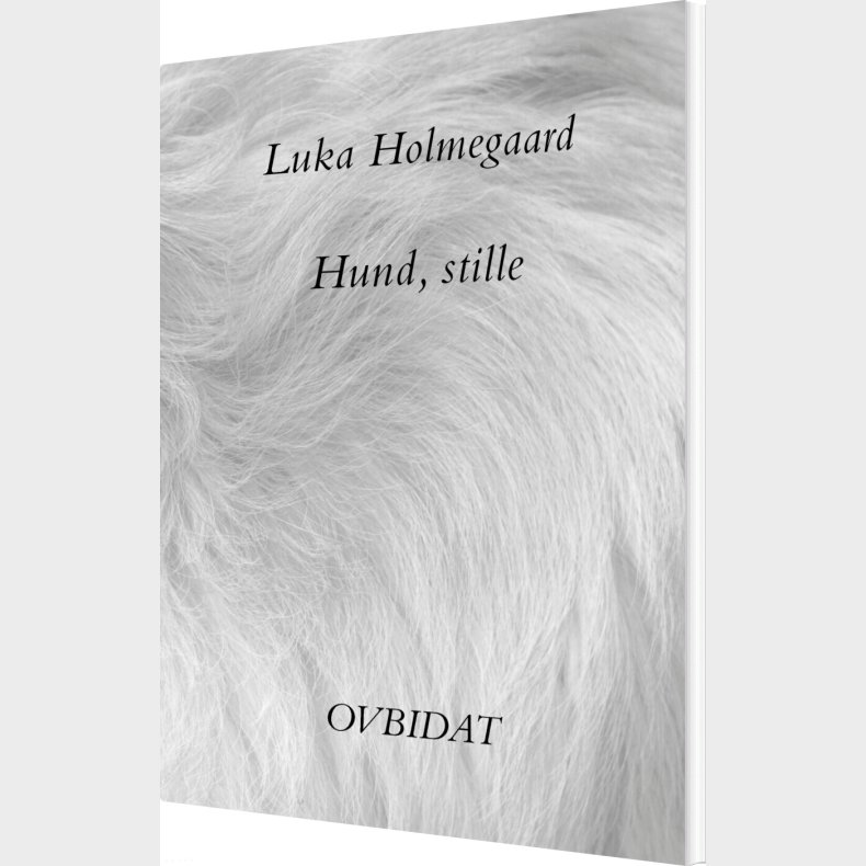 Hund, Stille - Luka Holmegaard - Bog