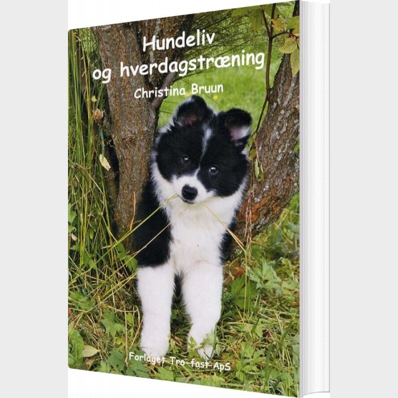 Hundeliv Og Hverdagstr�ning - Christina Bruun - Bog