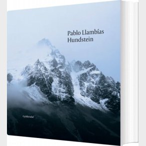 Hundstein - Pablo Llamb�as - Bog