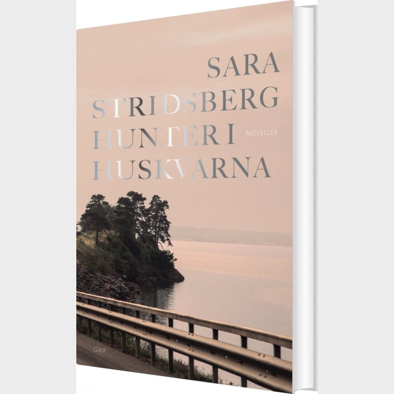 Hunter I Huskvarna - Sara Stridsberg - Bog