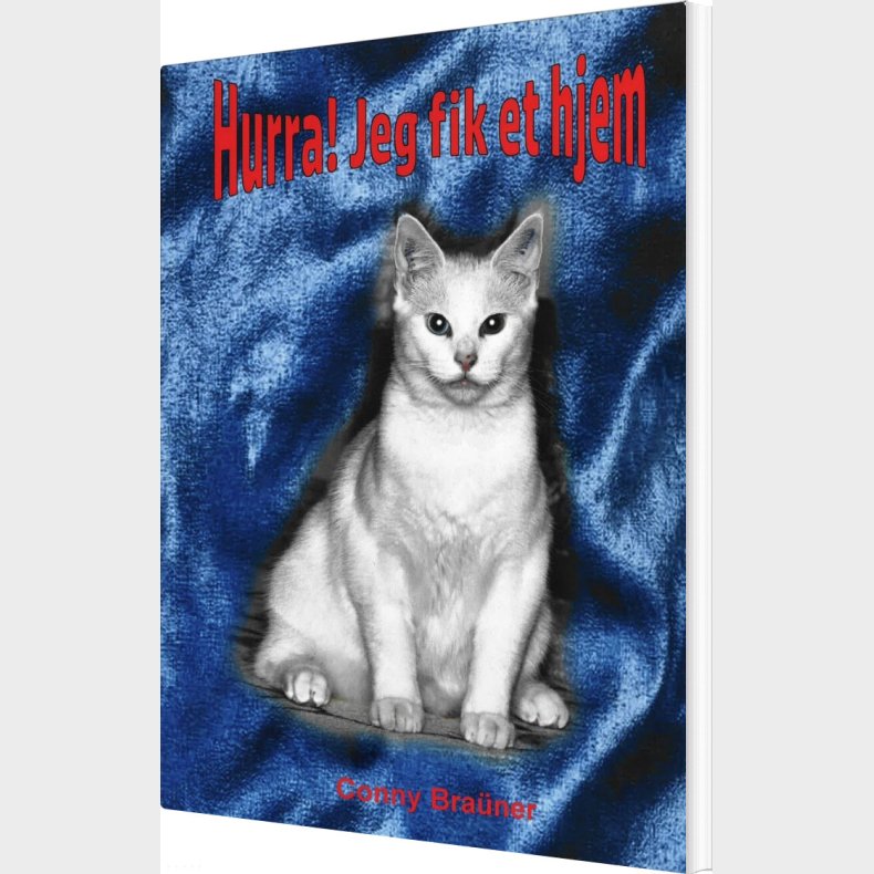 Hurra! Jeg Fik Et Hjem - Conny Bra�ner - Bog