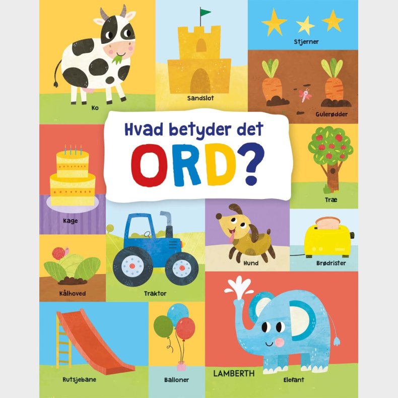 Hvad Betyder Det Ord? - Nastya Rizaeva - Bog