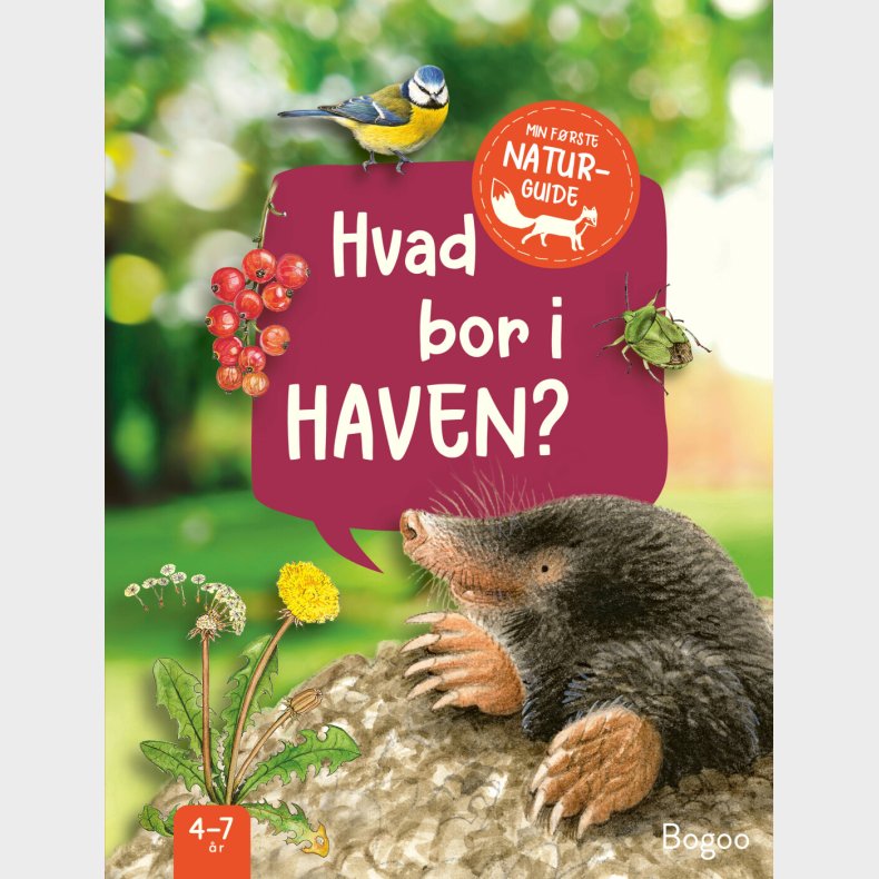 Hvad Bor I Haven? - Julia Hiller - Bog