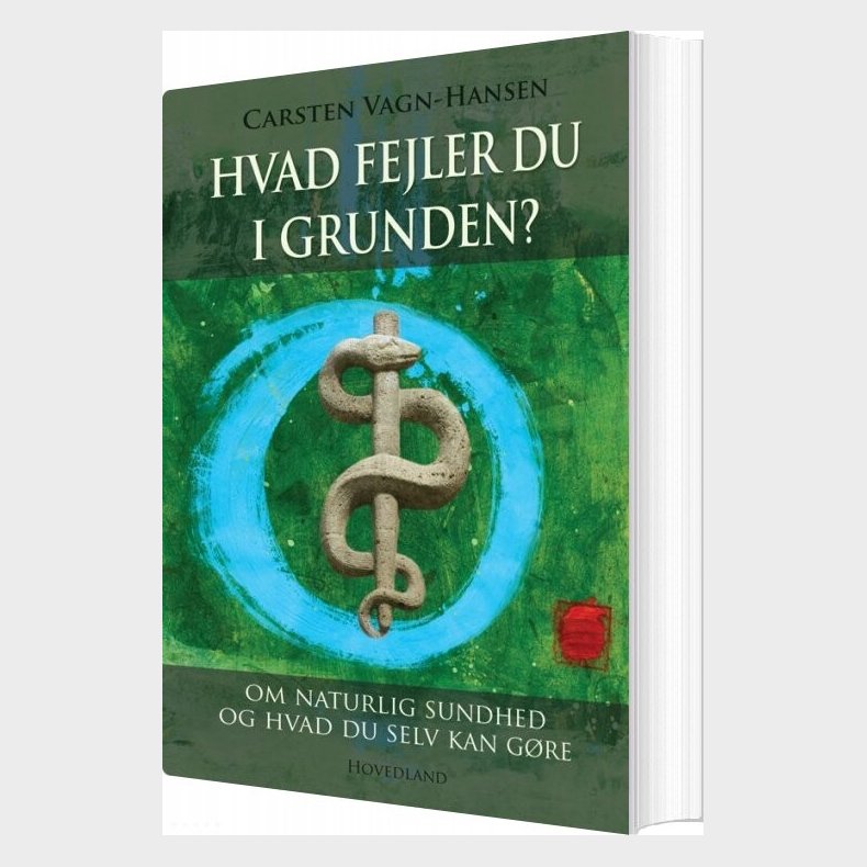 Hvad Fejler Du I Grunden? - Carsten Vagn-hansen - Bog