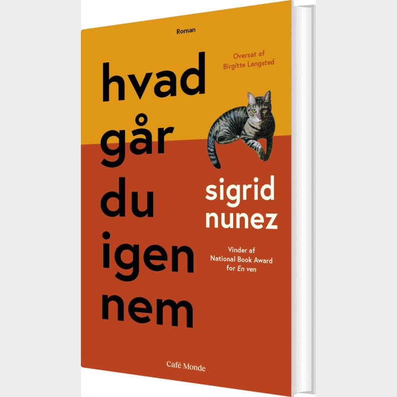 Hvad G�r Du Igennem - Sigrid Nunez - Bog