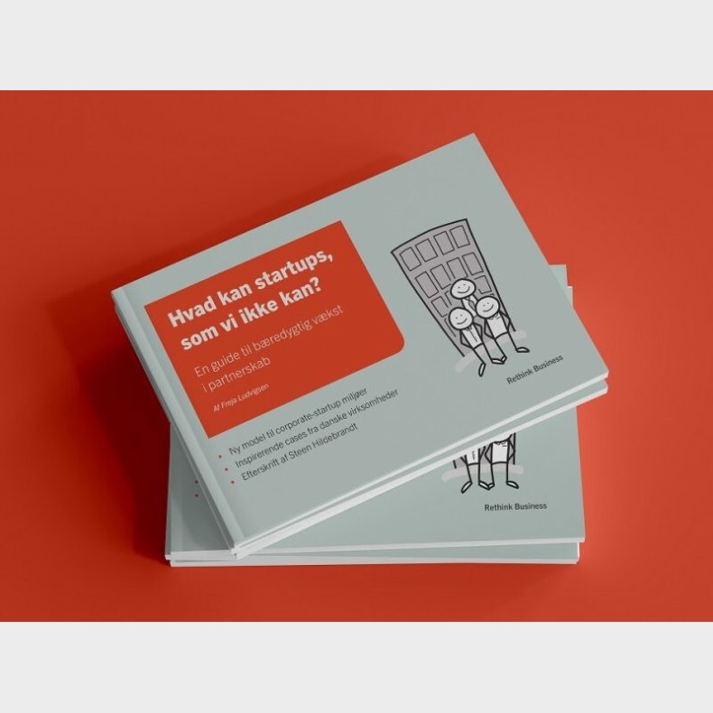 Hvad Kan Startups, Som Vi Ikke Kan? - Freja Ludvigsen - Bog