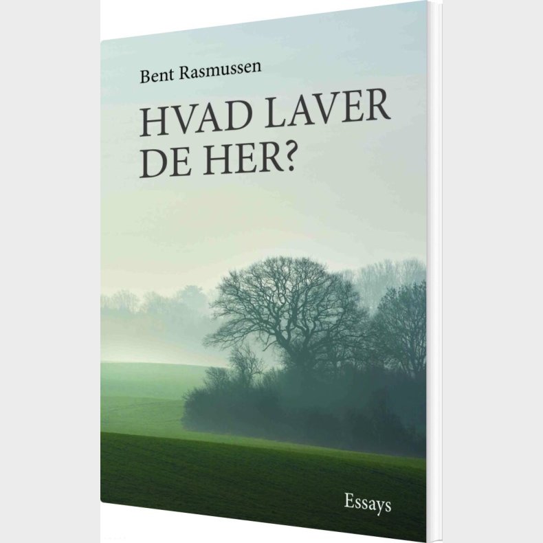 Hvad Laver De Her? - Bent Rasmussen - Bog