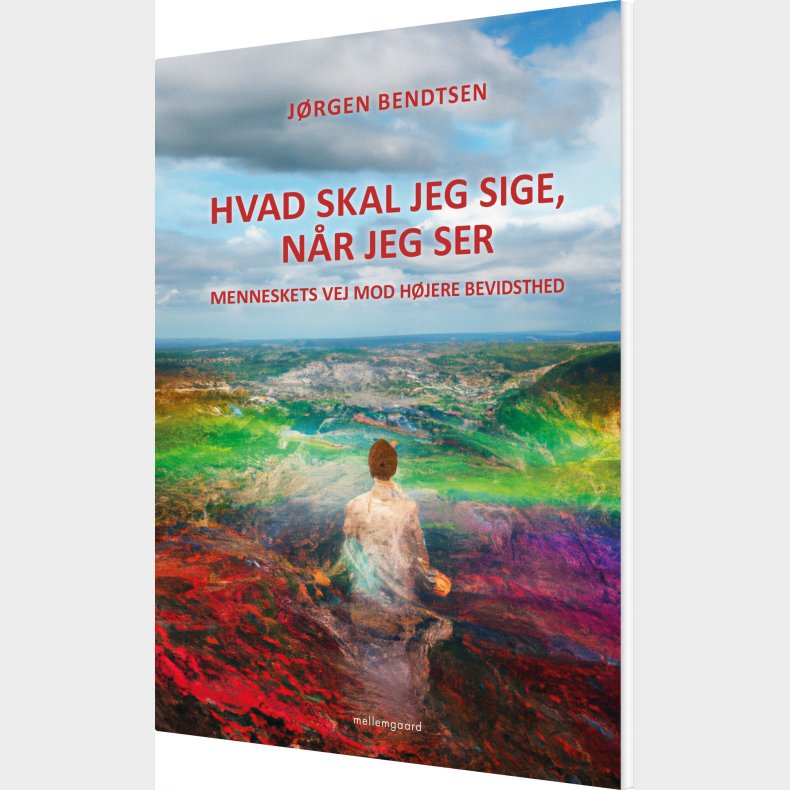 Hvad Skal Jeg Sige, N�r Jeg Ser? - J�rgen Bendtsen - Bog